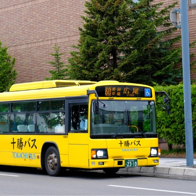 バス/タクシー
